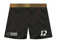 FREEZ SHORTS SUBLI - FLOORBALL SACHSEN U15w - black-gold