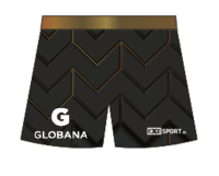 FREEZ SHORTS SUBLI - FLOORBALL SACHSEN U15w - black-gold