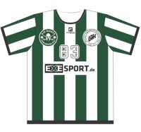 FREEZ JERSEY SUBLI - DJK Giants Karlsruhe 26 green - white